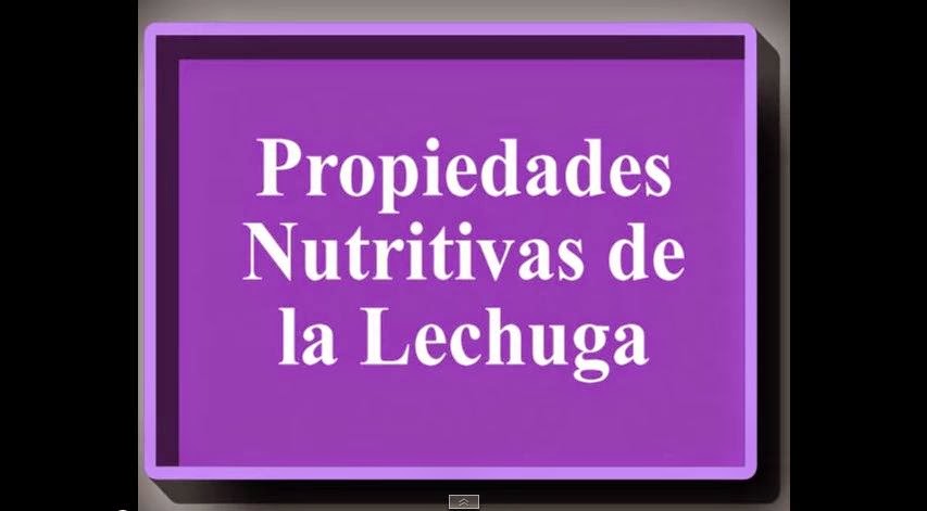  Propiedades Nutritivas de la Lechuga 2