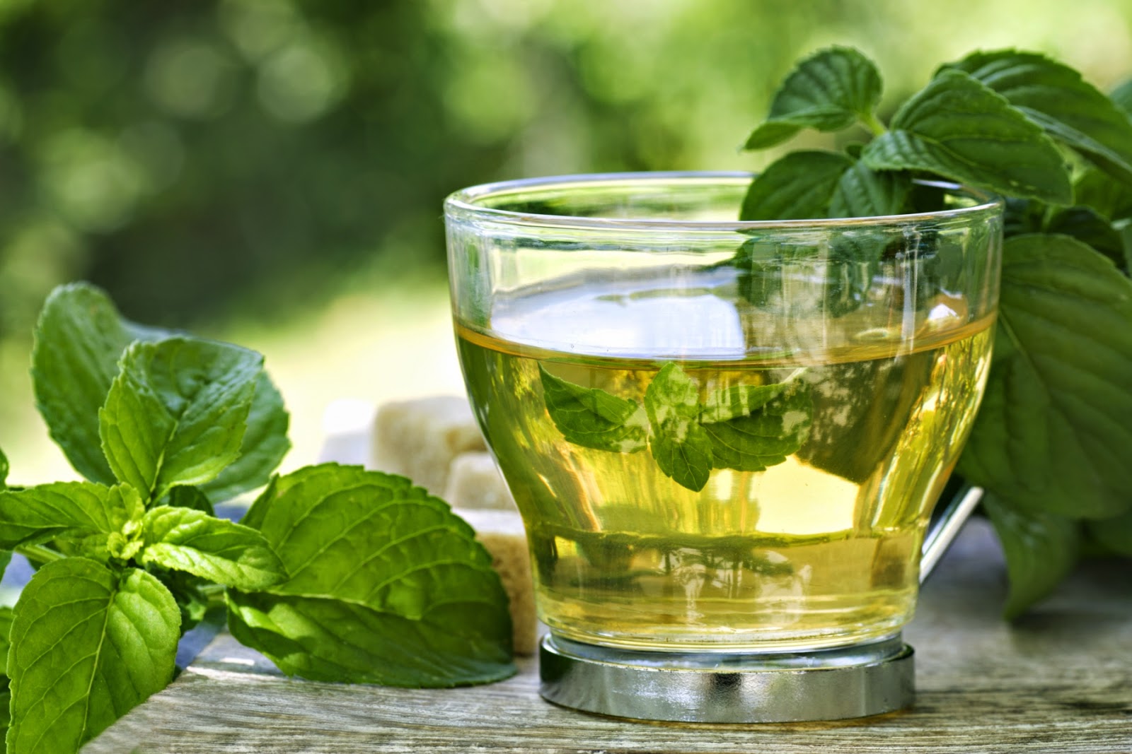 Cáncer de páncreas - Propiedades del té verde